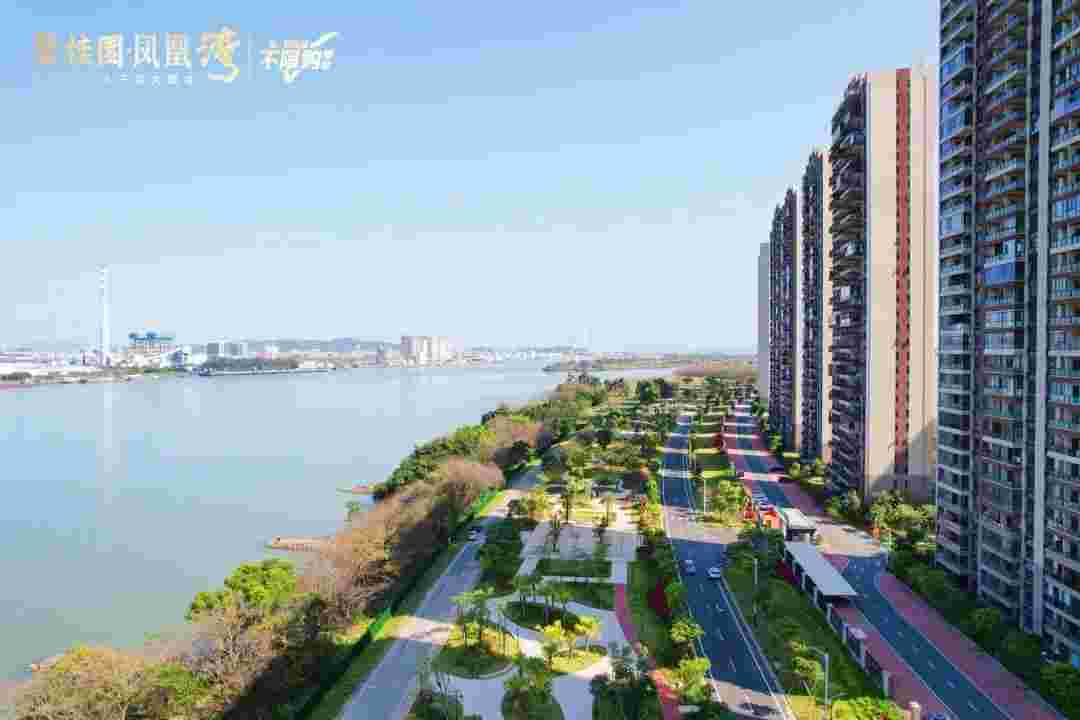 碧桂园凤凰湾实景图.jpg 碧桂园凤凰湾实景图.jpg