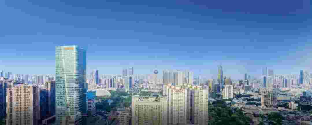 0816599329763637.jpg
