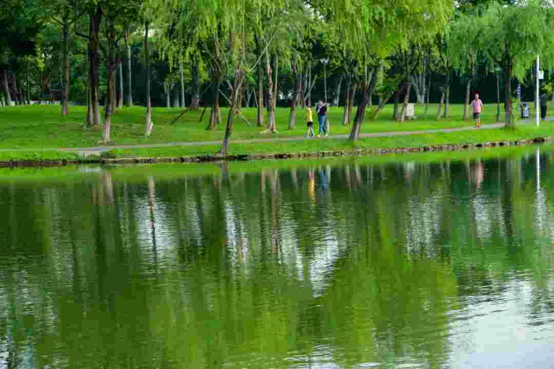 东湖学府.jpg 东湖学府.jpg