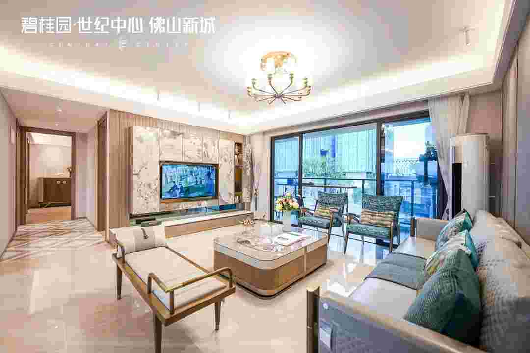碧桂园世纪中心.jpg