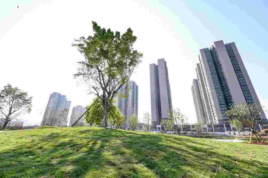 时代全球创客小镇卖得怎么样?限时一口价2.6万起