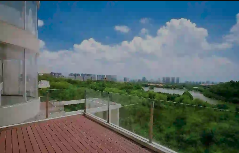 中交白兰春晓优缺点.png