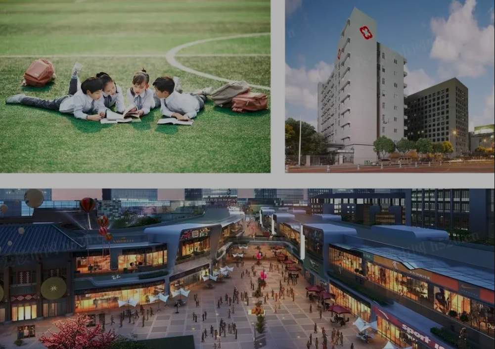 中建誉湖学校.png