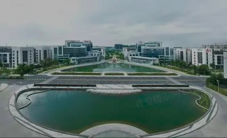 滨江金茂悦学校.png