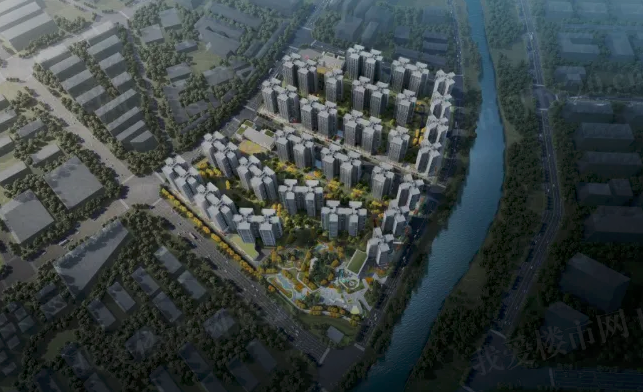 滨江金茂悦.png
