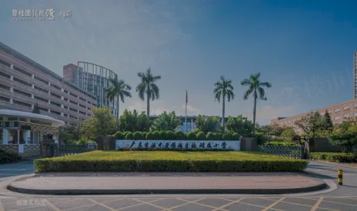 碧桂园凤凰湾学校.png
