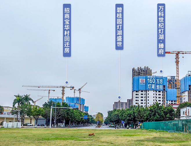 万科臻府.png
