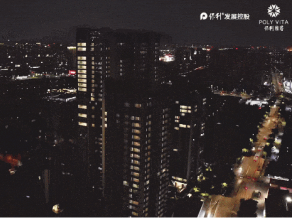 保利维塔.png